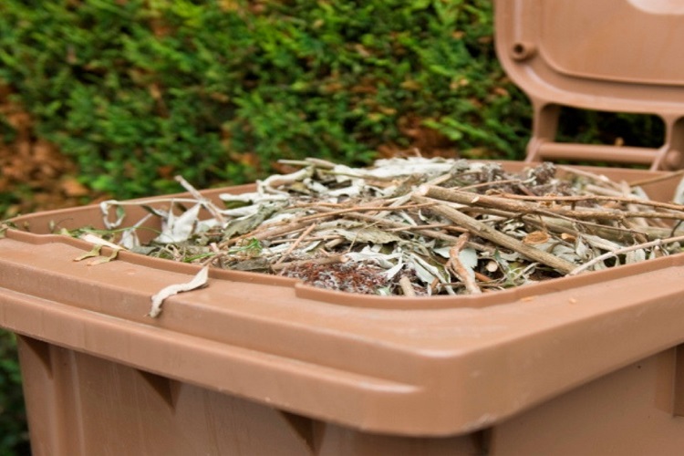Garden waste subscription window now open Wirral view